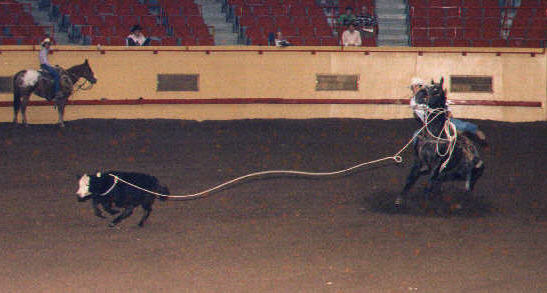 I AM A Vaquero