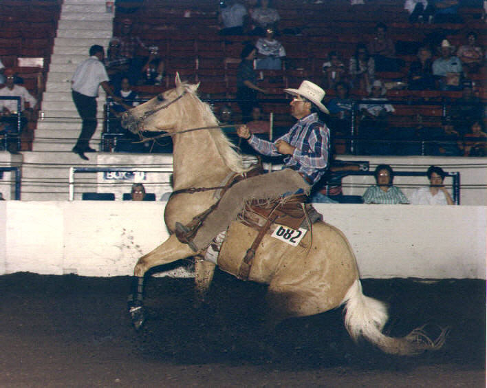 Buster Golden Nugget